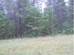 1.5 AC 18th Ave