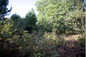 40 AC County Road O