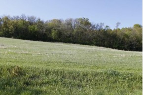 35.99 AC Britt Valley Rd