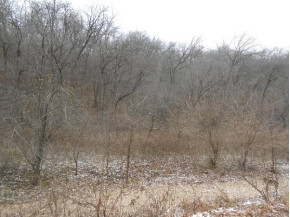 32.34 AC Morovits Hollow Rd