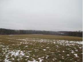 98.56 AC Gesser Rd