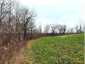 118.6 AC Morovits Hollow Rd