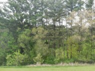 6.99 AC W Pine Rd