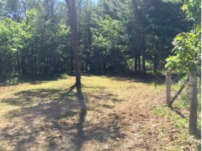 6.99 AC W Pine Rd