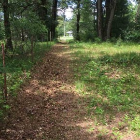 6.99 AC W Pine Rd