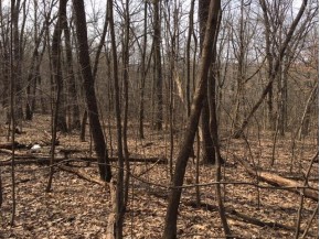 5.92 AC Hidden Meadow Ln