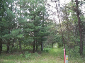 2.38 AC Woodland Ln