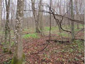 93.848 AC County Road F