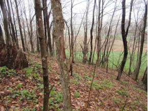 93.848 AC County Road F