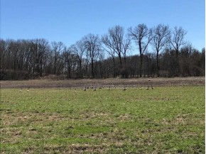 7.58 AC Buck Creek Rd