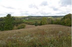 125.7 AC Biesek Rd