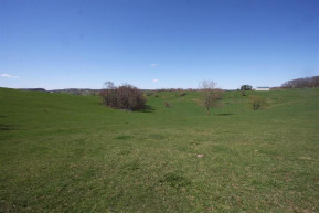 125.7 AC Biesek Rd