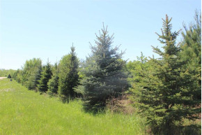 14.6 AC American Heritage Rd