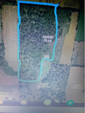 40 AC Golden Ave