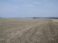 29 AC County Road F