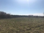 40.84 AC County Road I