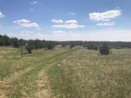 147.72 AC County Road T