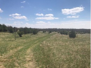 147.72 AC County Road T