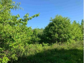 18.2 AC County Road A