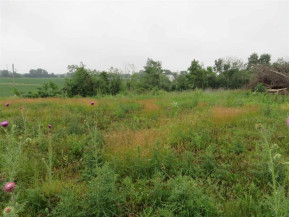 4.2 AC S Johnson Rd