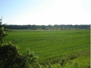 31.85 AC County Road B