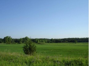 31.85 AC County Road B