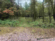 16.5 AC County Road M