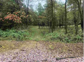 16.5 AC County Road M