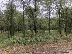 16.5 AC County Road M