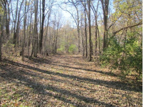 15.46 AC Koller Cir