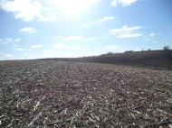 44.49 AC Otter Creek Rd