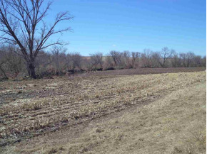 78.47 AC Hwy 81