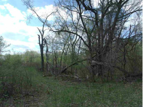 37.84 AC County Road B