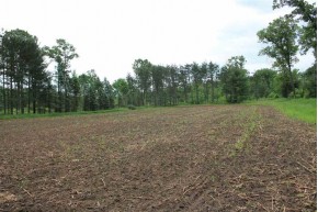 70 AC County Road B