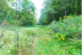 91.28 AC County Road B