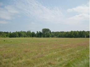 12.10 AC Martin Ave