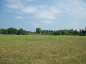 12.10 AC Martin Ave