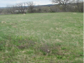 10 AC Eisenhower St