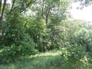 54.26 AC County Road A