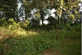 4.35 AC County Road W