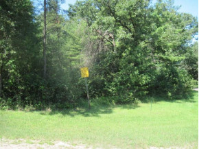 18.85 AC Deerborn Ave