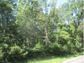 18.85 AC Deerborn Ave