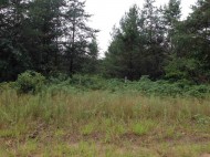 45 AC Badger Ave