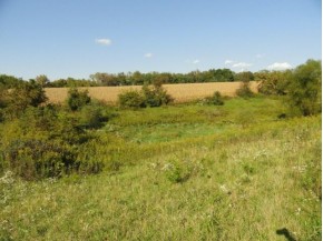 40 AC Sandy Hook Rd