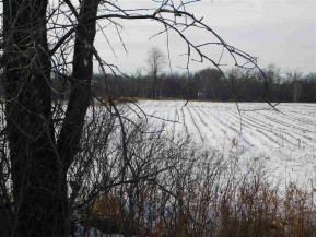 35 AC County Road M