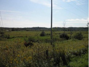 39.7 AC Kalepp Rd