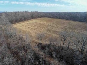 72.81 AC Frank Rd