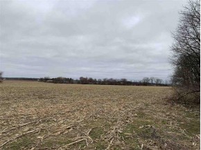 31.94 AC Taylor Rd