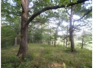 4.41 AC County Road G Tomah, WI 54660