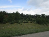 12.5 AC Deerborn Ct